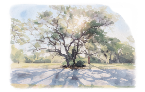 Trailside Sermon Video - Tree - web